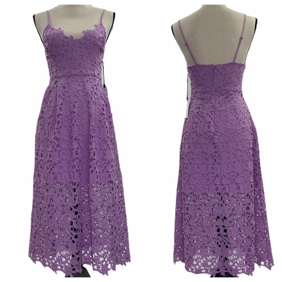 Astr Dresses & Skirts - Astr Lace A-Line Lavender Midi dress XS